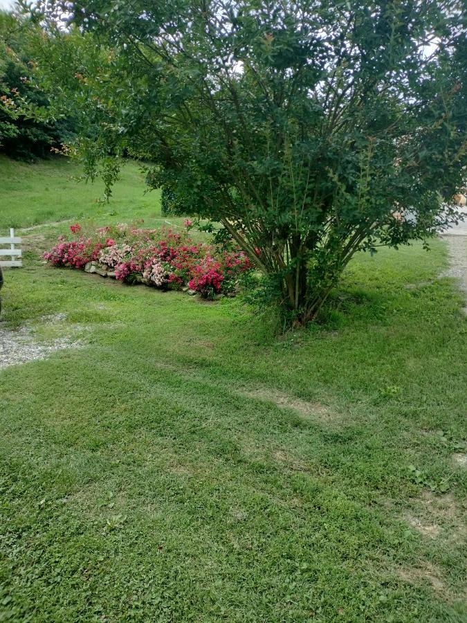 Casalborgone Casa Relax Immersa Nel Verde Della Natura מראה חיצוני תמונה