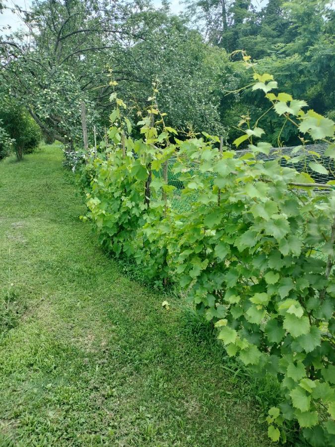 Casalborgone Casa Relax Immersa Nel Verde Della Natura מראה חיצוני תמונה