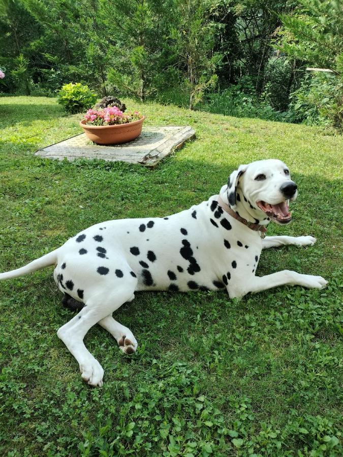 Casalborgone Casa Relax Immersa Nel Verde Della Natura מראה חיצוני תמונה