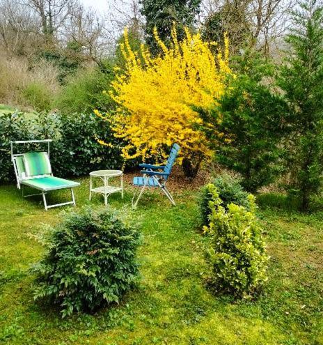 Casalborgone Casa Relax Immersa Nel Verde Della Natura מראה חיצוני תמונה